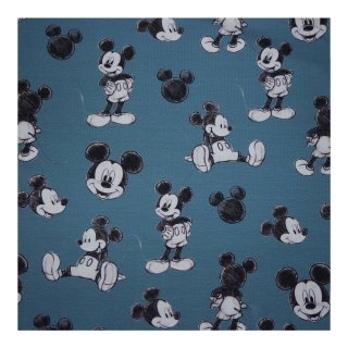 "Mickey", Jersey, rauchblau, Lizensstoff, 2054820001, 200g/m²