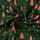 BW-Druck mit Tannenbäumen, dunkelgrün/rot 134321.0003, 120g/m²