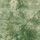Batik French Terry, grün, 2067600005, 200g/m²