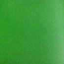 Siser TWINKLE, grün TW0009, 0,2m x 0,3m, Flexfoile