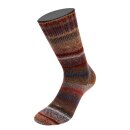 Meilenweit 100 Rainbow, Lana Grossa, 100g, ca. 400m Lauflänge Nussbraun/Grau/Blau-/Dunkelgrau/Ocker/ Khaki/Waldgrün 6406