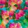 Lochstrickjersey Valencia, blumig, grün/bunt, 463999, 200g/m²