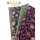 Retro Flowers by Emjo Design, Blumen ocker/mint, Canvas, 315263, 230g/m²