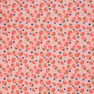 Fruits, Erdbeeren rosa, BW-Webware, 397431, 130g/m²
