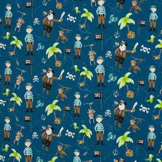 Ahoi by Mrs Mint design, Piraten Baumwolljersey, 805748, 200g/m²