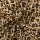 Baumwolljersey mit Leo-Print, beige, Digitaldruck, 2121240004, 200g/m²