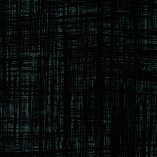 Wild Doodles by Thorsten Berger, mint/schwarz, Sweat ungerauht, 263299, 245g/m²
