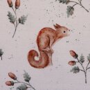 Life in the forest by Christiane Zielinski, Eichhörnchen, Baumwolljersey, 100010, 200g/m²