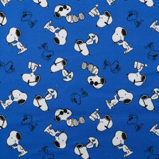 Snoopy, Jersey, Digitaldruck, blau, Lizenzstoff, 2121350003, 200g/m²