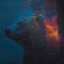 Bruno, cooles Jersey Panel mit Eisbär, Hilco, M 6538/1