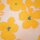 Sunny, Viskose - Webware, Hilco, gelb, M2763/1