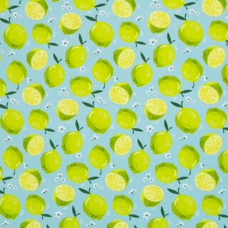 Limetten, türkis/blau, Baumwolljersey Melody, 530253, 210g/m²