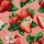 sommerlicher Canvas mit Erdbeeren, Matteo, 559432, 230g/m²