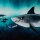 Shark Tank by Thorsten Berger, blau/türkis, Panel, Sweat ungerauht, 100746, 245g/m²