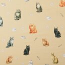 BW-Druck Digital, Katzen beige, 2123880002, 145g/m²