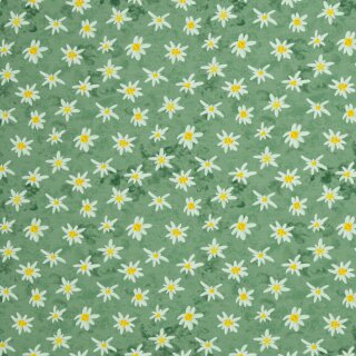 Alpenliebe by Mrs Mint design, Jersey, Edelweiß grün, Batik, 344603, 210g/m²