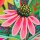 Outdoorcanvas Aurelia, wasserabweisend, Dekostoff Swafing, 100314, 215g/m²