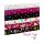 Flowerpop by Hip Som Hap, Jersey, Blumen weiß, 807011, 210g/m²