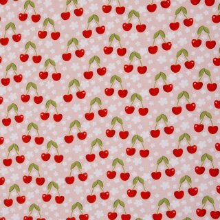 Früchte by JaTiJu, Baumwolljersey, Kirschen, rosa/rot, 765432, 210g/m²