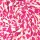 Heavy Sweat mit Leo-Print, Organic Cotton, natur/pink, 45803460, 320g/m²