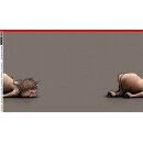 Cheeky Animals by Thorsten Berger, Panel, Hochlandrind...
