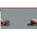 Cheeky Animals by Thorsten Berger, Panel, Hochlandrind...