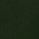 Teddy, Teddyboucle-Fleece, dunkelgrün, 564,...