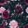 gerauhter Sweat mit Rosen, marine, Glitzerpüppi, 27525/008, 295g/m²
