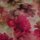 Pink flow, Viskosejersey pink mit Blumenmuster, Hilco, M6001/49, RESTSTÜCK 35cm