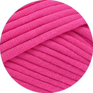 Fuchsia 8