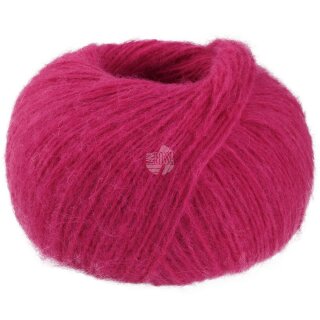 Fuchsia 3