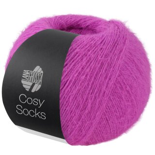Fuchsia 16